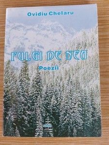 Fulgi de nea- Ovidiu Chelaru foto