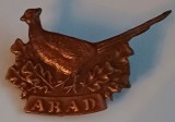 CY - Insigna "Vanatoare Arad" RO comunism (RSR) / fazan &amp; frunze de stajar / metal neferos, lacuit / prindere ferma, fara joc / RARA Stare!