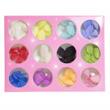 Cumpara ieftin Decor Unghii, Flori Uscate, set 12 Culori Mix