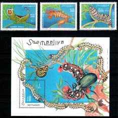 Somalia 1999, Mi #754-756 + Bl 61**, omizi, serie + colita, MNH, cota 23 €!