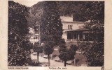 Baile Herculane. Vedere din parc (circulata 1925)