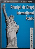 Principii de drept international public &ndash; Ion Grecescu, Vasile Popa - Carte de anticariat
