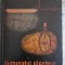 ILUMINATUL ELECTRIC - AL. BAILESCU