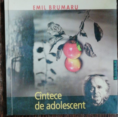 CANTECE DE ADOLESCENT - EMIL BRUMARU foto