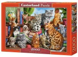 Puzzle 2000 Piese - House Of Cats - Castorland