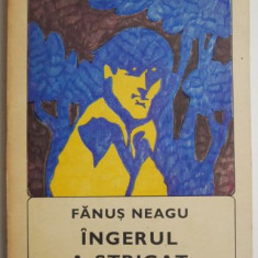 Ingerul a strigat – Fanus Neagu