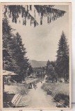 Bnk cp Slanic Moldova - Vedere - uzata 1953 - Libraria noastra, Circulata, Printata
