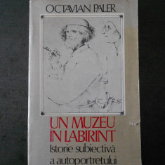 OCTAVIAN PALER - UN MUZEU IN LABIRINT * ISTORIA SUBIECTIVA A AUTOPORTRETULUI