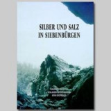 Silber und Salz in Siebenb&uuml;rgen, Band 3