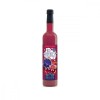 Elixir Magic Copii Zmeura Bio Retter, 500ml, Concentrat, Bautura Nutritiva, Fructe de Padure, Agricultura Ecologica Austria