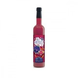 ELIXIR MAGIC PENTRU COPII, CONCENTRAT CU ZMEURA BIO, 500ML, RETTER