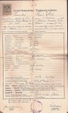 A3352N Testimoniu scolastic Romulus Mioc (viitor primar Petroșani, prefect al județului Hunedoara), 1901, Gimnaziul rom&acirc;n greco-catolic din Beiuș