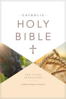 Catholic Holy Bible Reader&amp;#039;s Edition foto