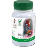 ECHINACEA C 60CPS