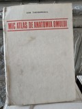MIC ATLAS DE ANATOMIA OMULUI - DEM THEODORESCU EDITIA A II-A