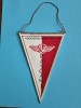 Fanion Asociatia Sportiva C.F.R. Pascani / CD1P