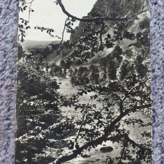 Vedere Valea Putnei la Lepsa, Vrancea, alb negru, anii 60, netimbrata necircula