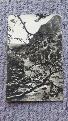 Vedere Valea Putnei la Lepsa, Vrancea, alb negru, anii 60, netimbrata necircula foto