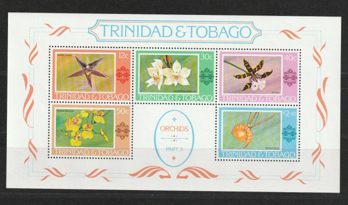 Flora ,orhidee,Trinidad.