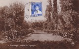 BUCURESTI VEDERE DIN PARCUL CISMIGIU CIRCULATA 1928 TCV., Fotografie, Ilfov