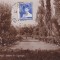 BUCURESTI VEDERE DIN PARCUL CISMIGIU CIRCULATA 1928 TCV.