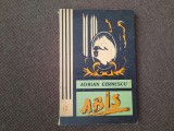 Abis Adrian Cernescu P12