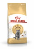 Hrana uscata pentru pisici Royal Canin, British Shorthair, Adult, 2Kg 2 kg