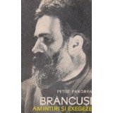 Brancusi - amintiri si exegeze