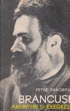 Brancusi - amintiri si exegeze foto