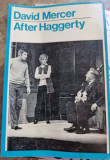 David Mercer - After Haggerty