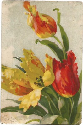 carte postala - LALELE foto