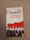 Cumpara ieftin Tinerețile lui Daniel Abagiu