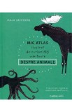 Mic atlas ilustrat de curiozitati uimitoare despre animale - Maja Safstrom