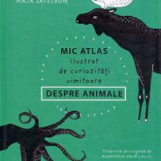 Mic atlas ilustrat de curiozitati uimitoare despre animale - Maja Safstrom