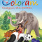 Coloram 2 - Imagini din povesti reed.I PlayLearn Toys