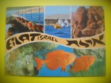 HOPCT 6133 EILAT -ISRAEL-ASIA -NECIRCULATA