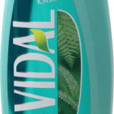 VIDAL Cremă de duș cu mosc alb, 500 ml