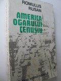 America ogarului cenusiu - Romus Ruslan