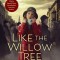 Like the Willow Tree