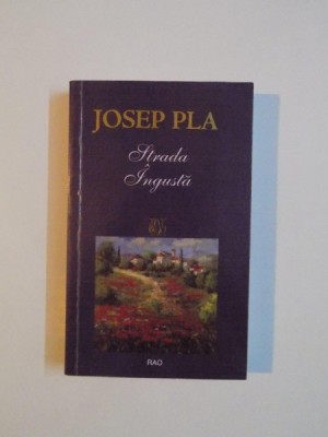 STRADA INGUSTA de JOSEP PLA foto