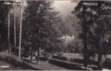 Slanic-Moldova. Vedere (necirculata)