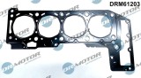 Garnitura, Chiulasa 310894 DRM61203