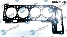 Garnitura, Chiulasa 310894 DRM61203