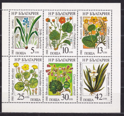 BULGARIA 1988 FLORA FLORI BLOC MNH foto