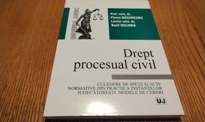 DREPT PROCESUAL CIVIL - Florea Magureanu, Bazil Oglinda - 2005, 322 p. foto