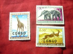 Serie mica Congo 1960 - Fauna, supratipar Congo pe timbre Congo Belg, 4 valori foto
