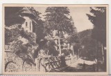 bnk cp Sinaia - Vedere - uzata 195? - Libraria noastra
