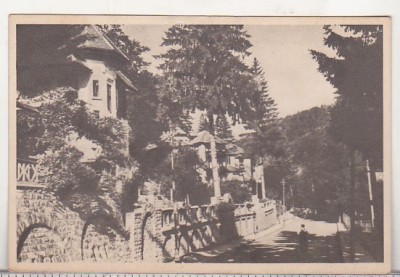 bnk cp Sinaia - Vedere - uzata 195? - Libraria noastra foto