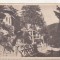 bnk cp Sinaia - Vedere - uzata 195? - Libraria noastra