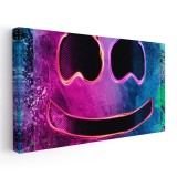 Tablou afis DJ Marshmello 2402 Tablou canvas pe panza CU RAMA 30x60 cm